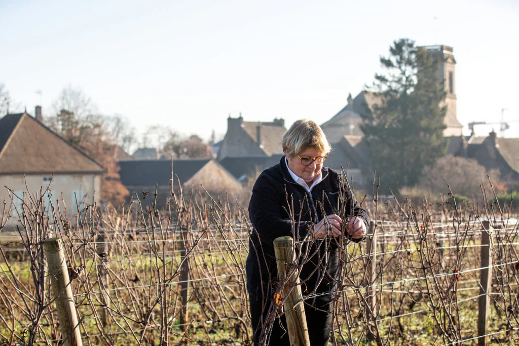 Domaine Parent - a fine wine evening at Glengarry